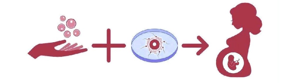 fuzhu1.jpg fuzhu1.jpg