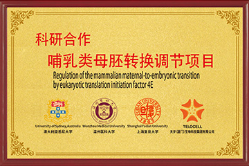 母胚轉(zhuǎn)換