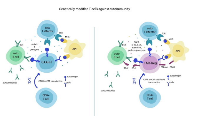 1661737466647995.png image.png