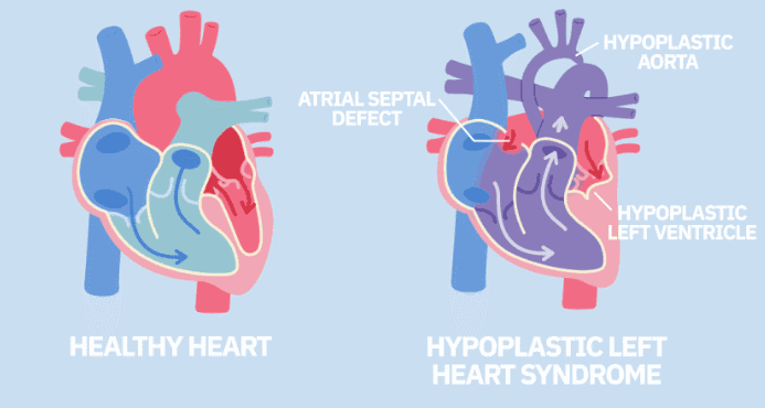 1661737493728193.gif 640.gif