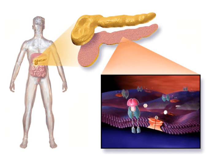 1661737908110024.png image.png