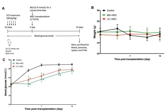 1661737932614110.png image.png