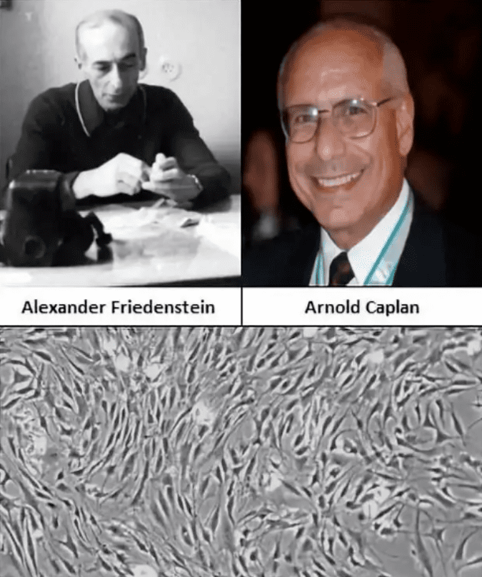 1661738496771024.png image.png