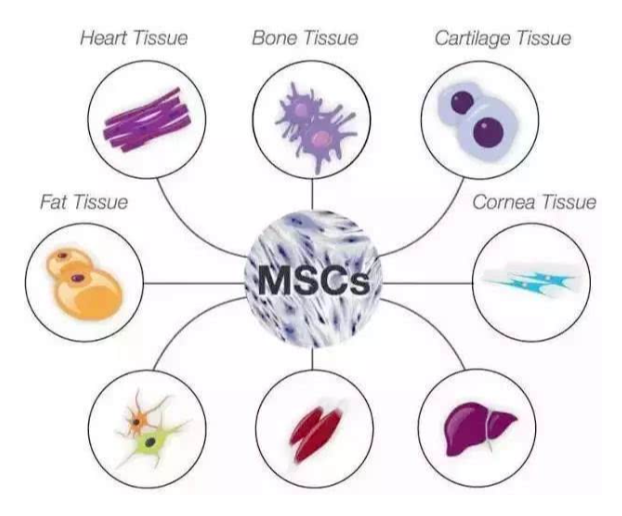 1661738503583303.png image.png