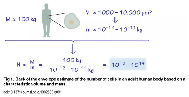 1661750571122417.png image.png