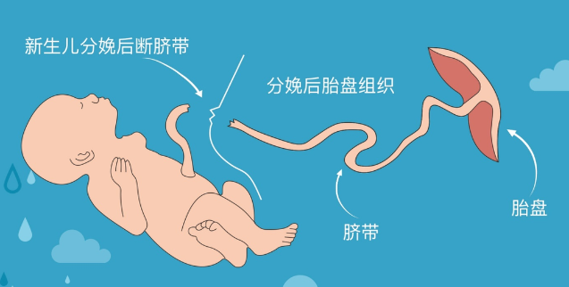 1661750860198013.png image.png