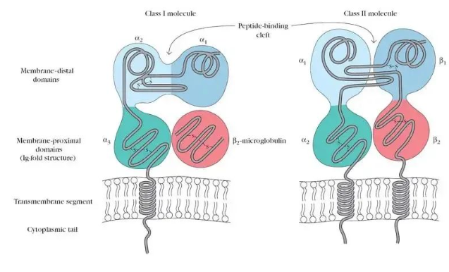 1661750875132442.png image.png