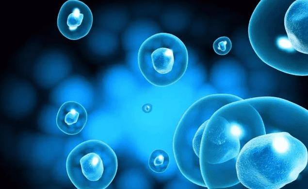 1661751298105070.png image.png