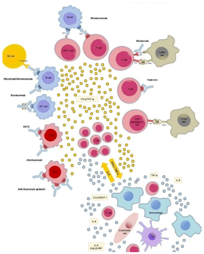 1661751862213995.png image.png