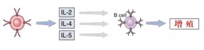 1661751928154529.png image.png