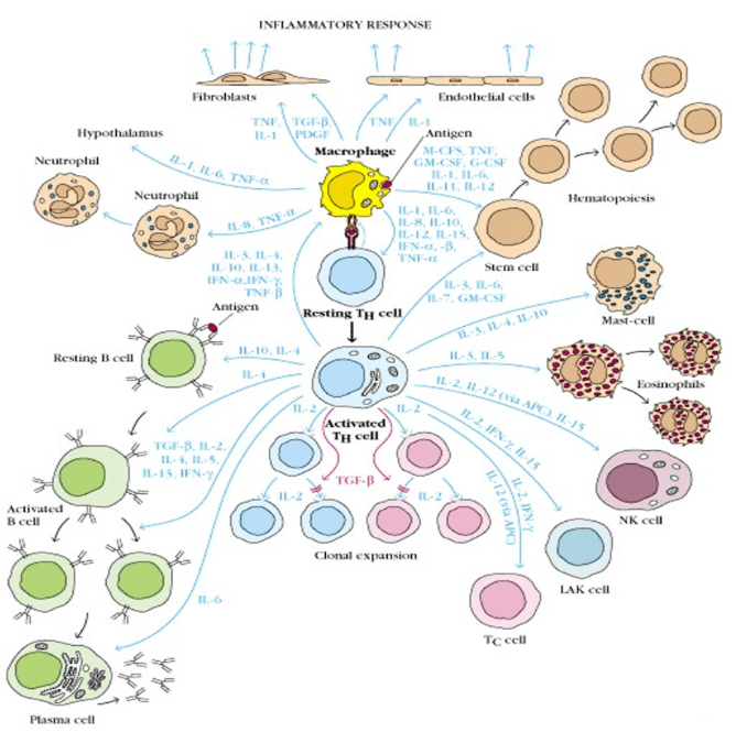 1661751938191183.png image.png