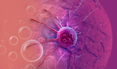 1661756264199890.png image.png