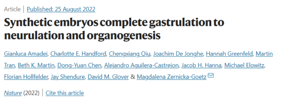 十年心血，培育出“合成”小鼠胚胎，有大腦有心臟！