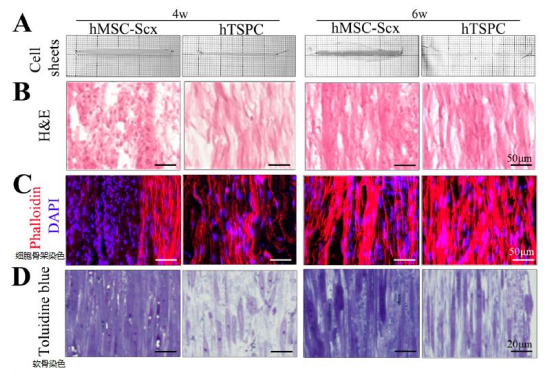 1667029438212969.png 1667029436338.png