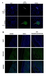 1667029582664596.png 1667029580140.png