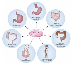 1667029976196273.png 1667029974084.png