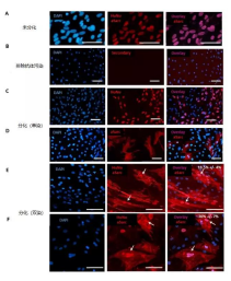 1667030065167840.png 1667030053910.png