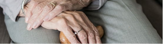 抗衰新突破：T 細胞可通過全新機制延長端粒，防止衰老