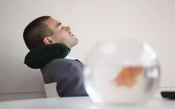 1667032546146155.png 1667032516330.png