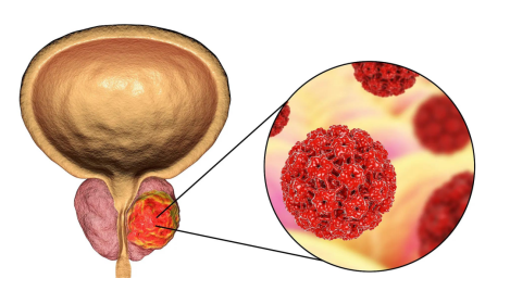 1667195838196633.png 1667195834632.png