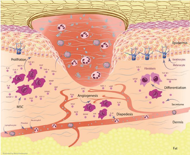 1669863113146446.jpg 1.jpg