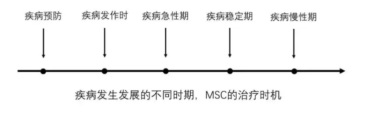 1670549145121974.png 1669950908228.png