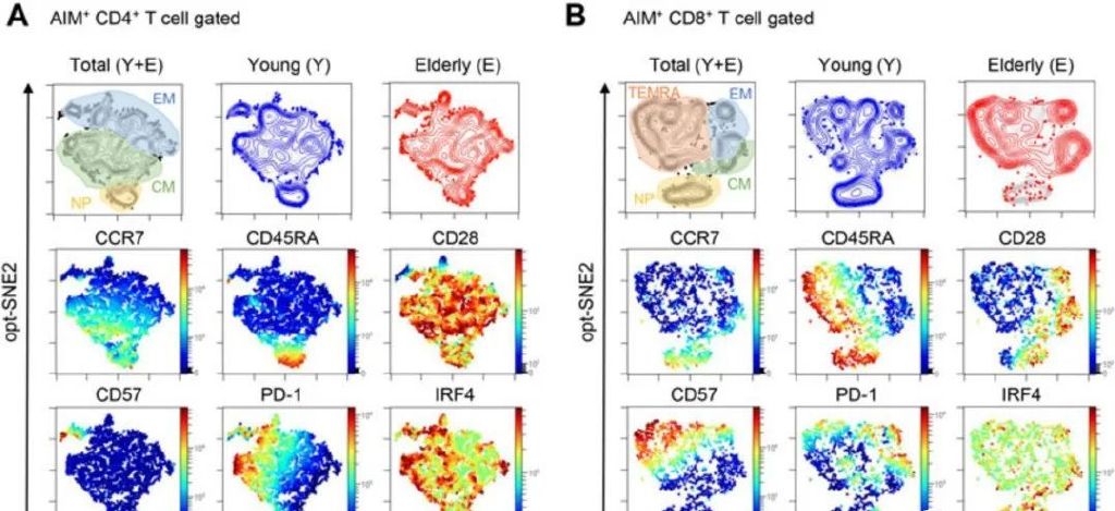 1671071074901049.jpg 008eTGmDly4h0cz17gc2rj30u00drmzl.jpg