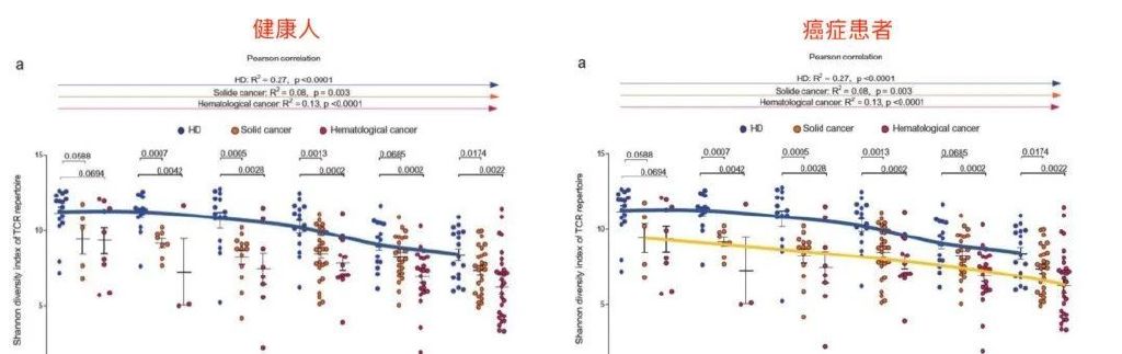 1671073021118317.jpg 008eTGmDly4h0cz17aua2j30u009h75a.jpg