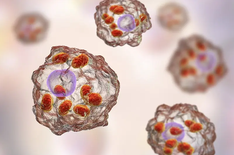 1671073250141800.png 1670833936070.png