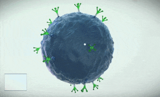 1671678380207932.gif src=http___p3.itc.cn_q_70_images03_20201020_17c1dadf16584d13a1a669612c2a78cb.gif&refer=http___p3.itc.gif