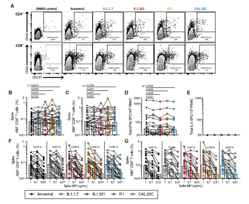 1672392138209462.png 微信圖片_20221227163813.png