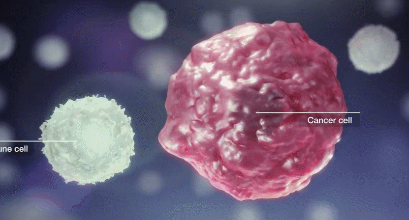 1672392303121838.gif 微信圖片_20221227163902.gif