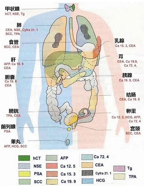 1672393493181325.png 1672222816740.png