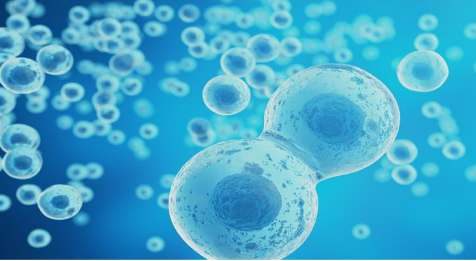 1673058564897250.png 1672816682932.png