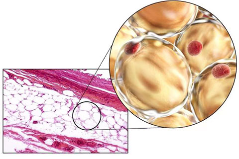 1675921453110641.jpg zhifangganxibao.jpg