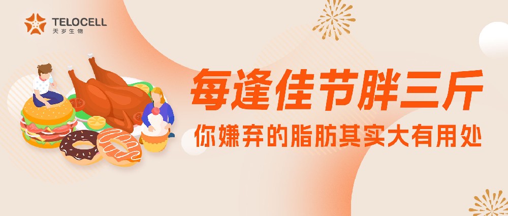 每逢佳節(jié)胖三斤？你嫌棄的脂肪其實(shí)大有用處！