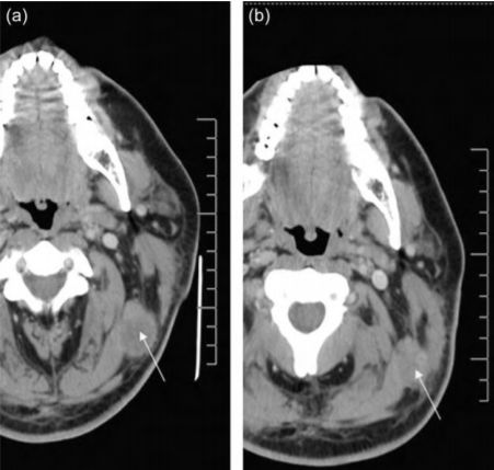 1676610592171514.jpg 微信圖片_20230208100837.jpg