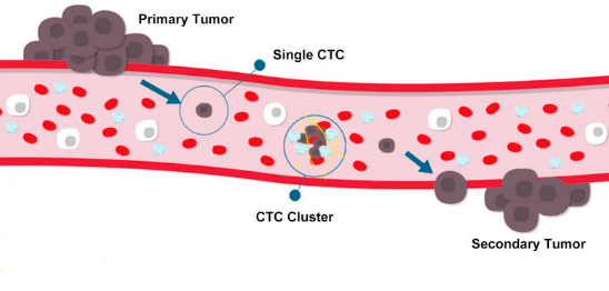 1676611145160439.png 微信圖片_20230206150338.png