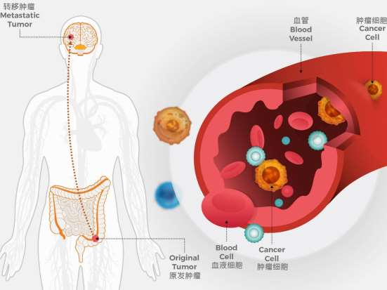 1677312359108951.png 第11頁(yè)-11(1).PNG