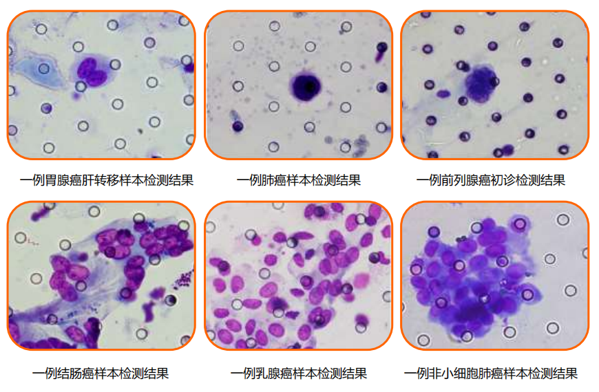 1677312450862838.png 1677312434808.png