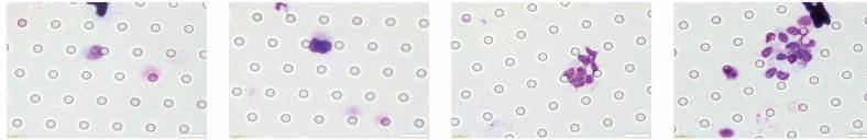 1677313173176280.png 第7頁(yè)-29.PNG