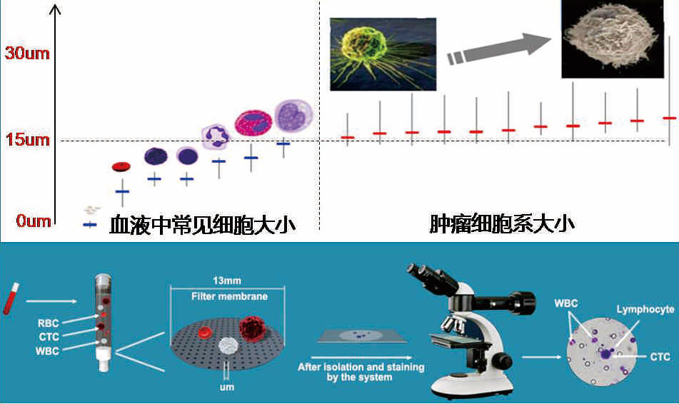 1677313593134615.png 第8頁(yè)-36.PNG