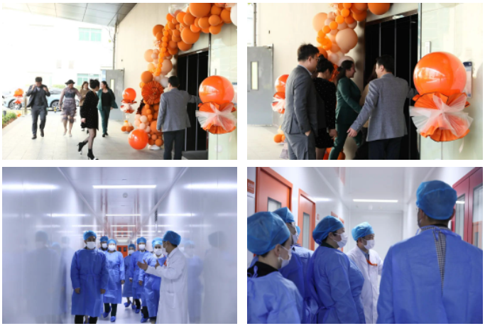 1678525181178989.png 1678524180915.png