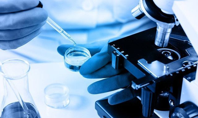 1678778847123641.png 1678690278575.png