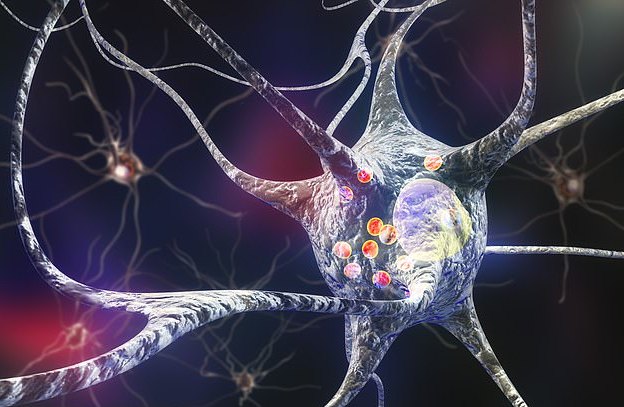 世界首例！利用異體間充質(zhì)干細胞治療帕金森，超 10 年長期隨訪效果表現(xiàn)良好！