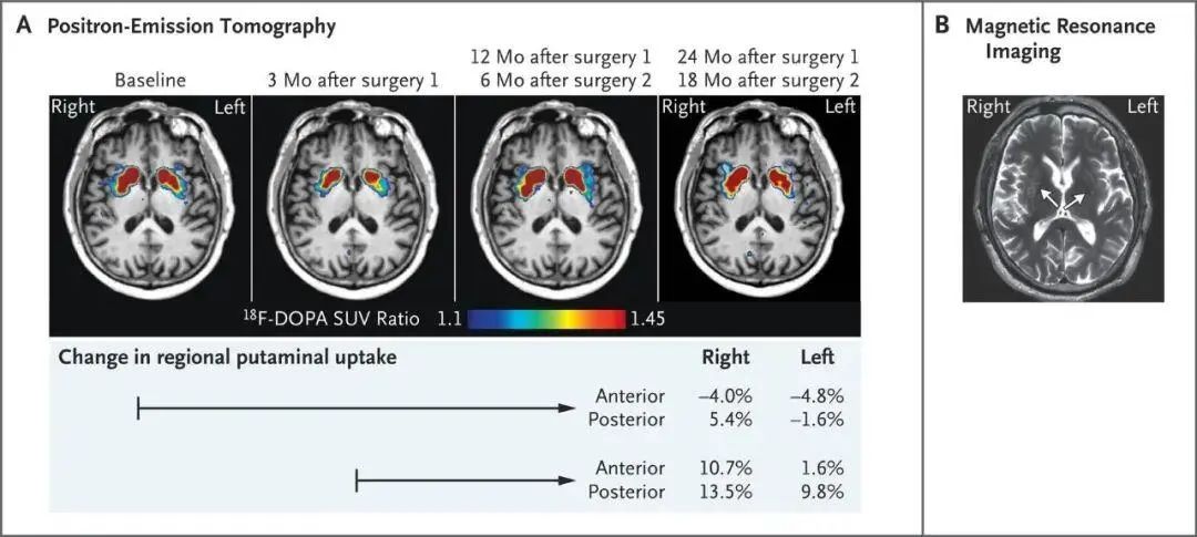 1681180447394630.jpg 5.jpg