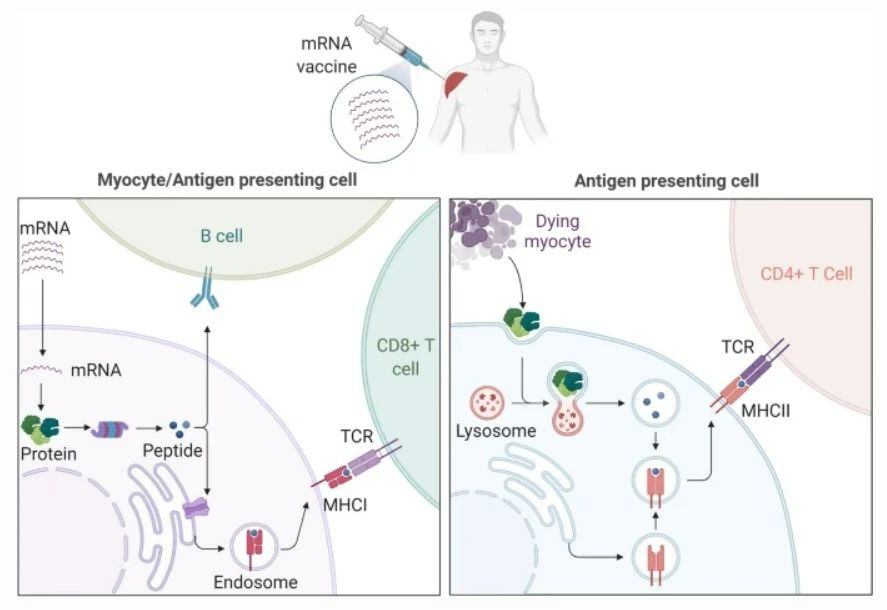 1683169970125658.jpg 微信圖片_20230427192345.jpg