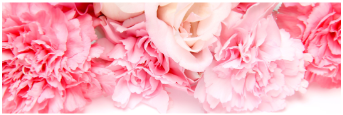 母親節(jié)！干細胞助力母親守護健康，美麗人生！