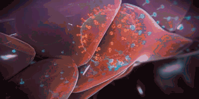 1684480821194945.gif 640.gif