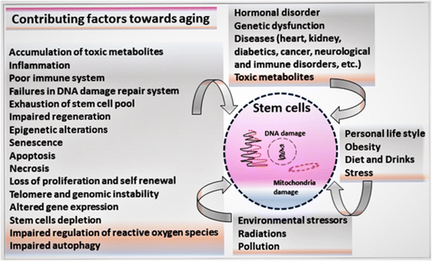 1685695799368789.png 微信圖片_20230529154320.png